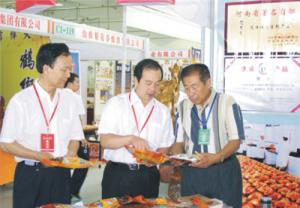 原安陽(yáng)市市長(zhǎng)董永安、副市長(zhǎng)陳明今到公司調(diào)研